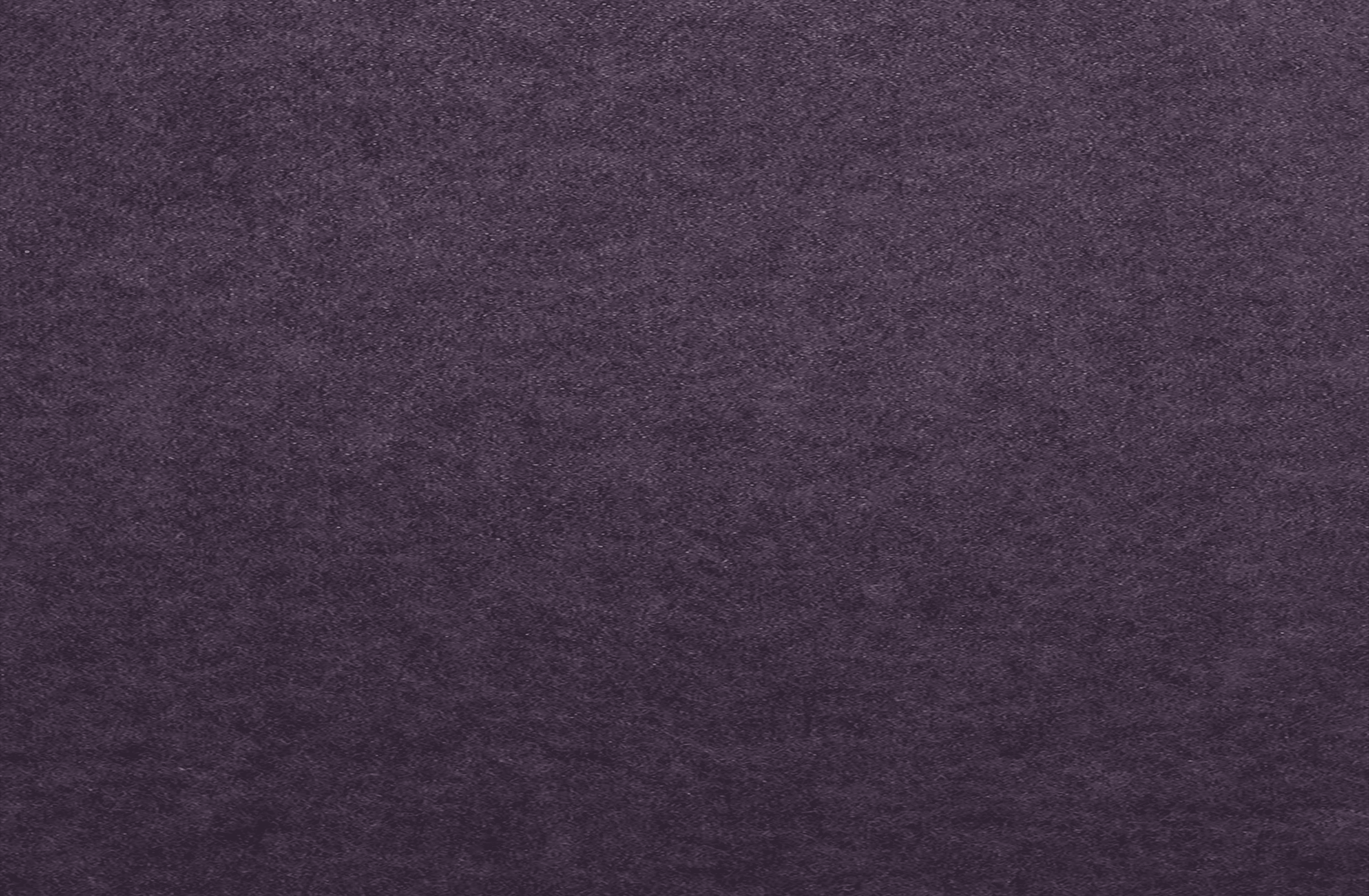 KP-93 Winter Bloom